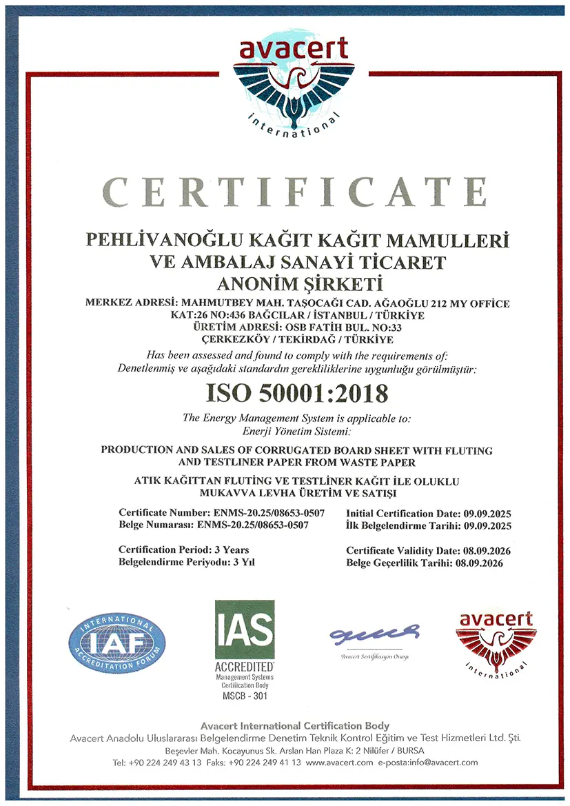 ISO 50001 Belgesi